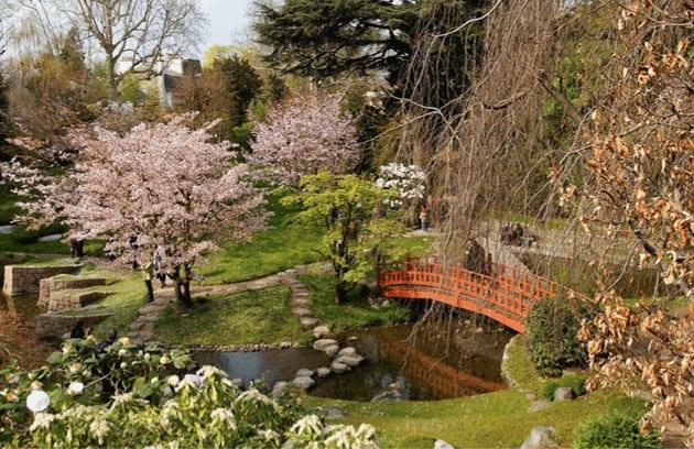 Jardín Japonés