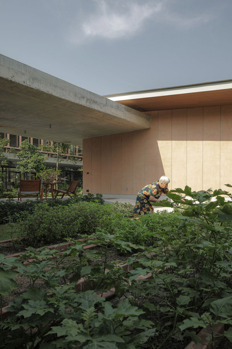 Banyan Tree House by Anonym