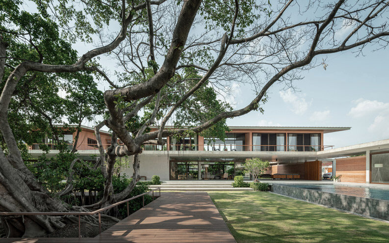 Banyan Tree House by Anonym