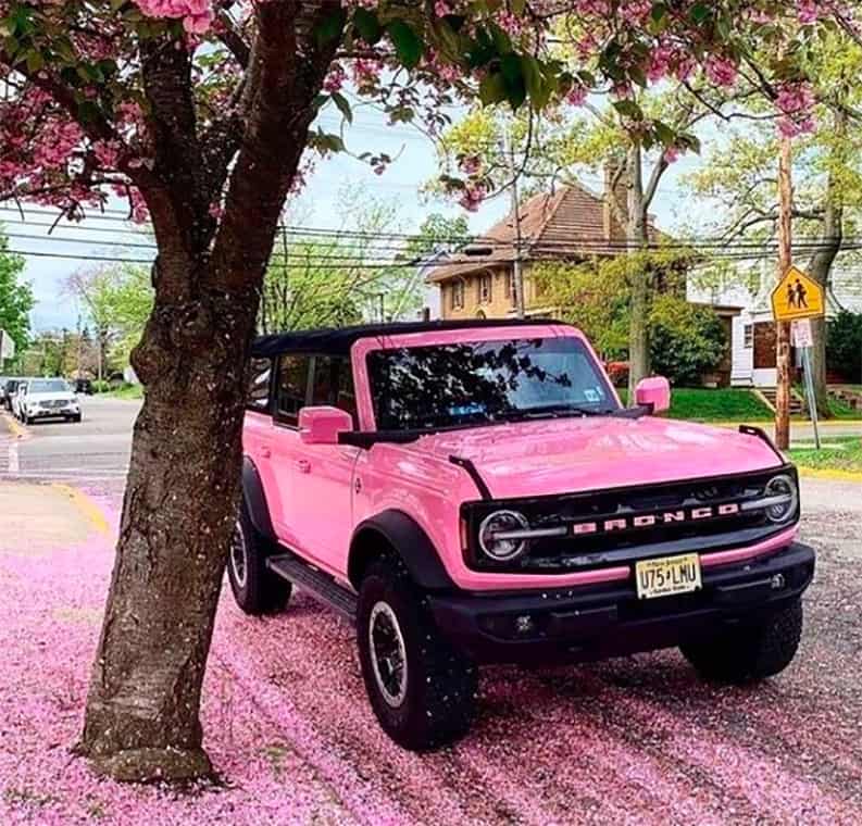 Barbiecore, Barbie