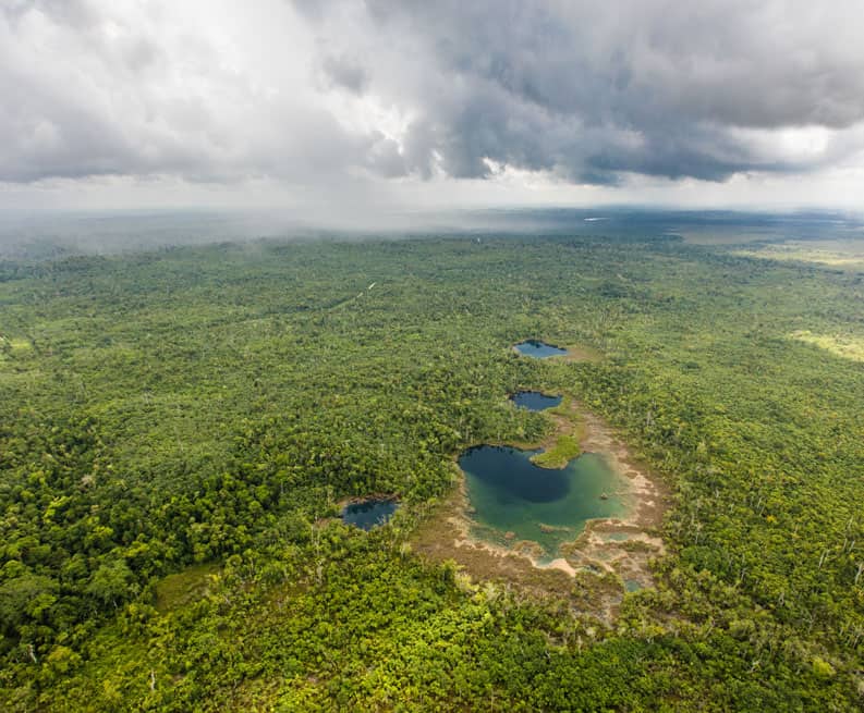 Belizes Maya Forest