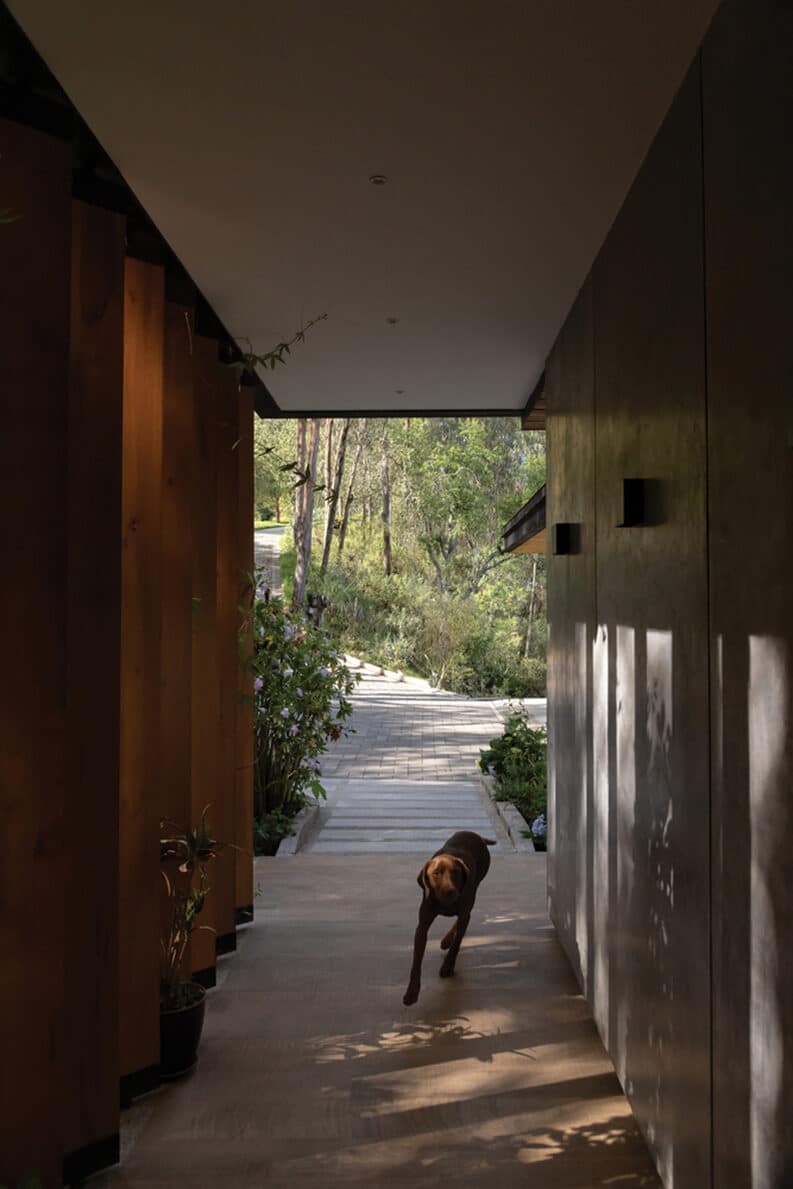 Casa 29 by estudio29