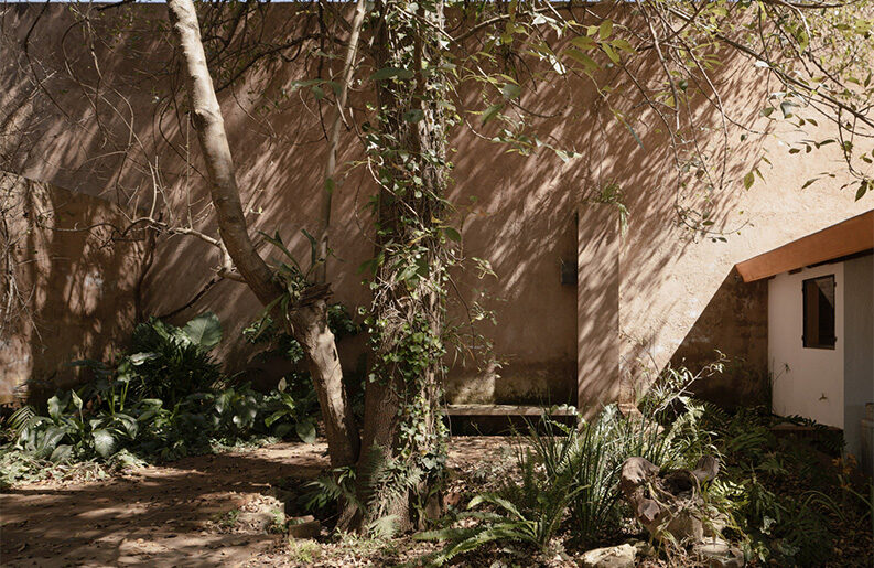 Casa Amona by COLAR Colectivo de Arquitectura