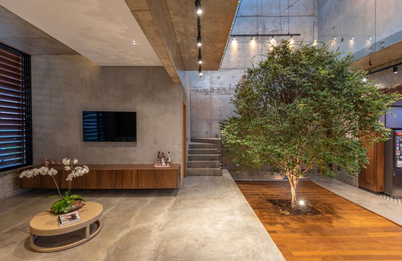 Casa Box