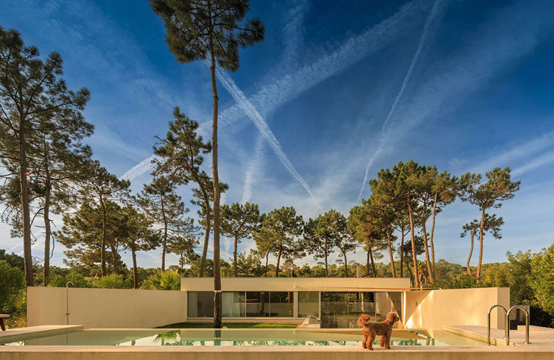 Casa Calma by Araja Studio