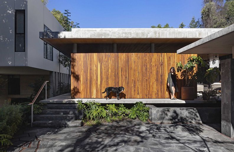 Casa Colibrí by Estudio Libre MX