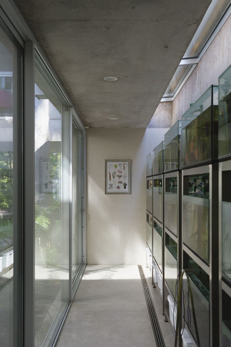 Casa Eucalipto by Julia Yako, Laura Marino