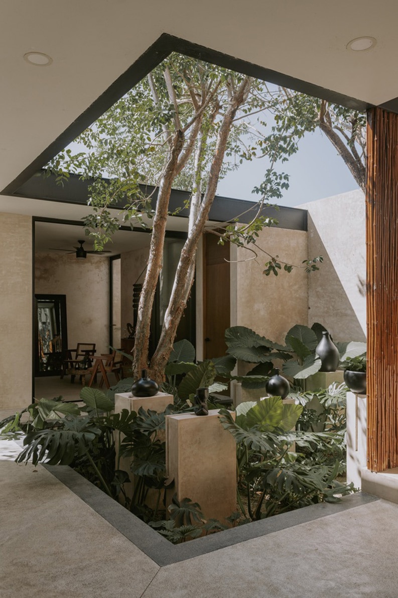 Casa "Eya" by TARA Arquitectura