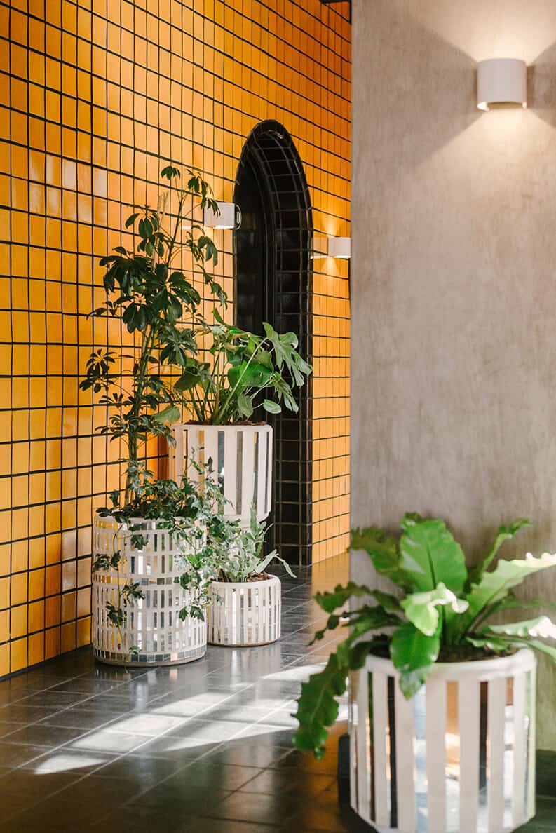 Casa Hoyos, A-G studio, Erik Zavala
