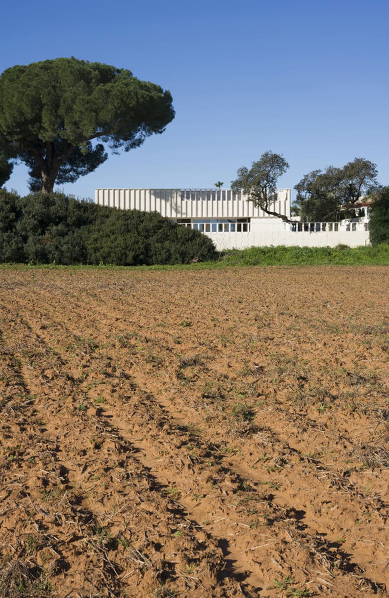 Casa J by SV60 Arquitectos