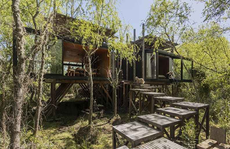 Casa Libélula. Una vivienda que se encuentra a la altura de un hermoso río