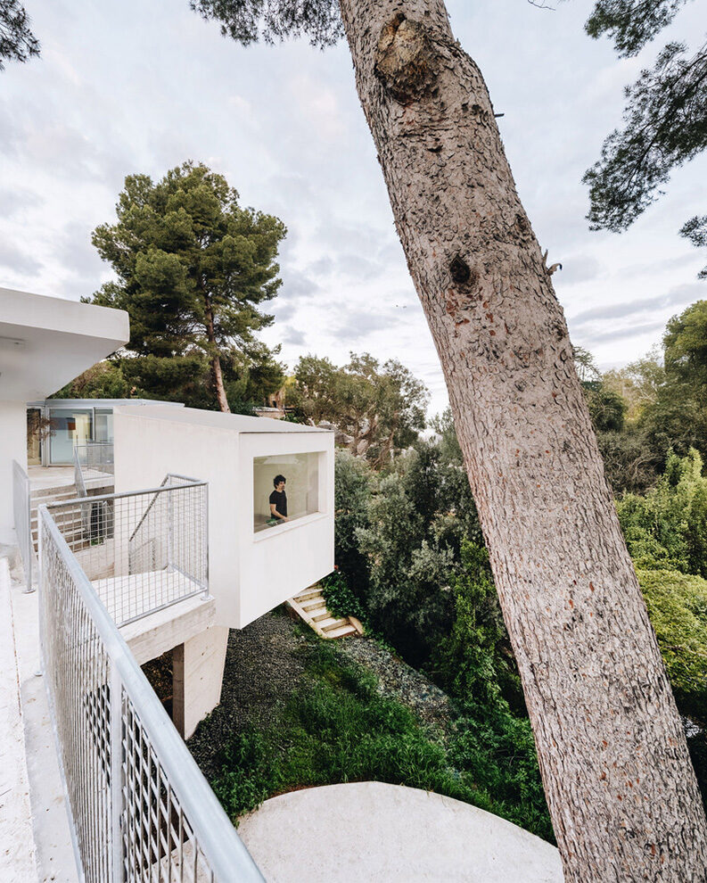Casa PB16 by ESPECIE arquitectura