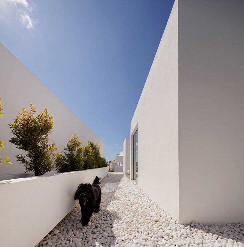 Casa PCG by Visioarq Arquitectos