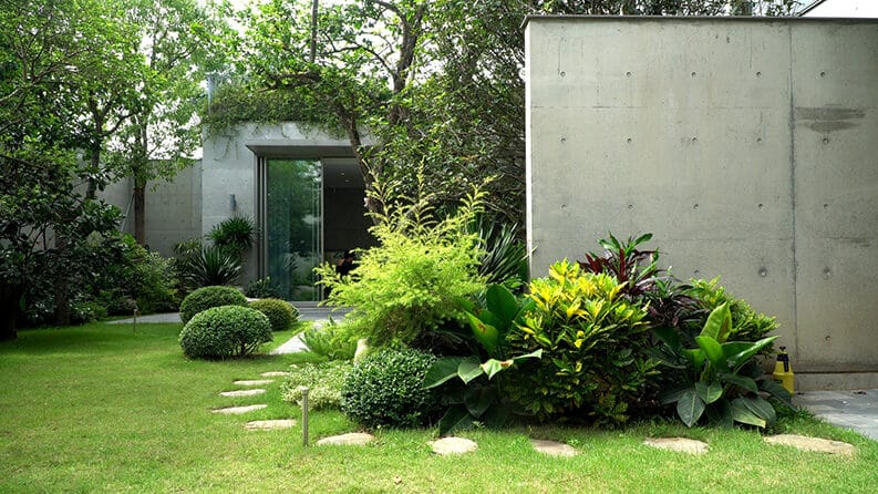 Casa Q by HGAA