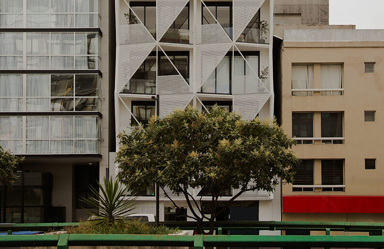 Casa Roma 315 by Brag Arquitectos