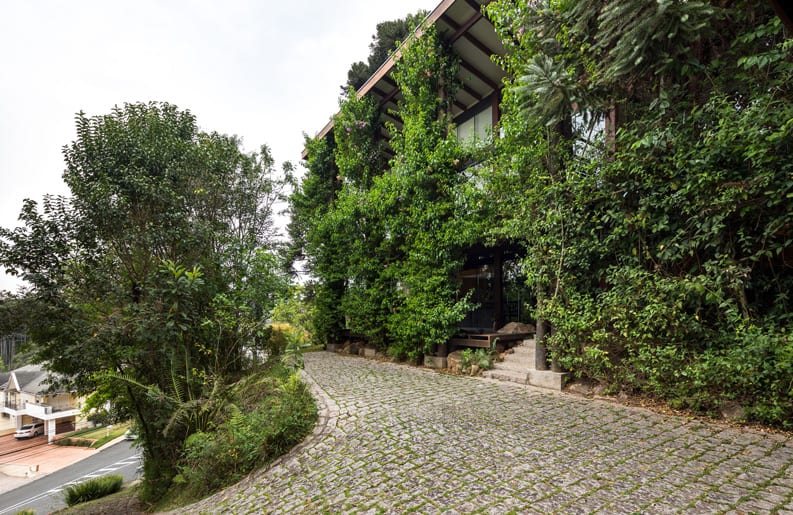 Casa Tingui