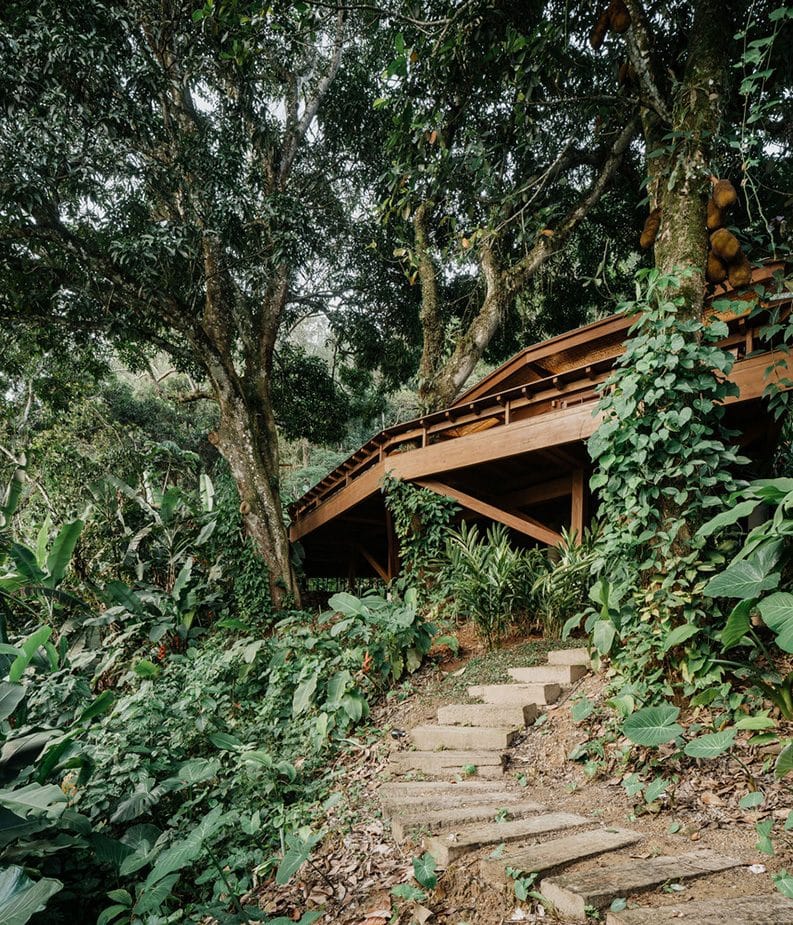 Casa da Figueira by Estúdio Lava