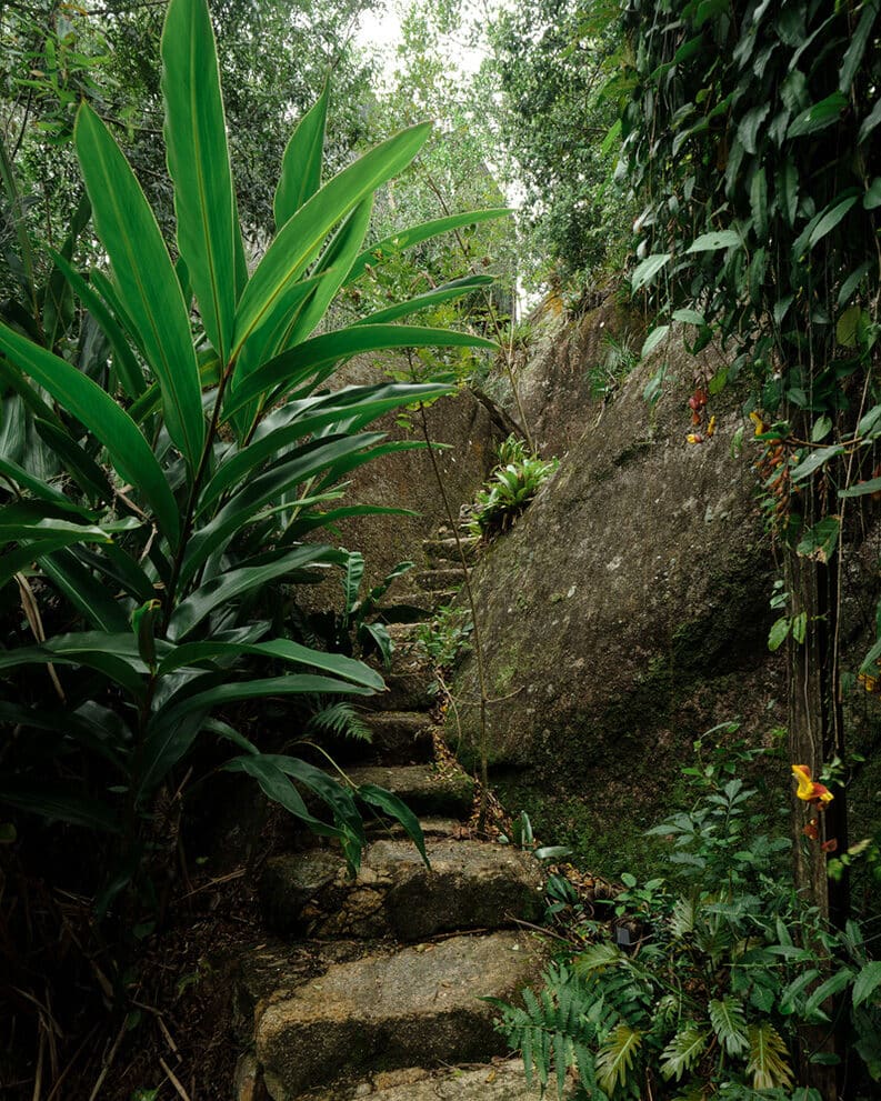 Casa de Huéspedes Rocha Floridas