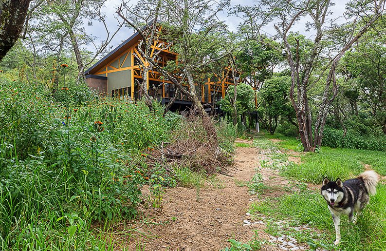 Casa en el Bosque by Espinoza Carvajal Arquitectos