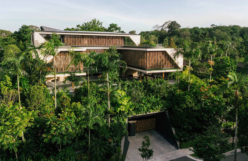 Casa sobre los árboles by Wallflower Architecture + Design