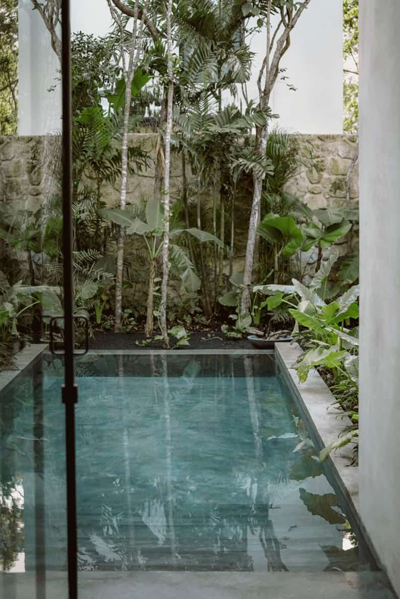 Casa Aviv