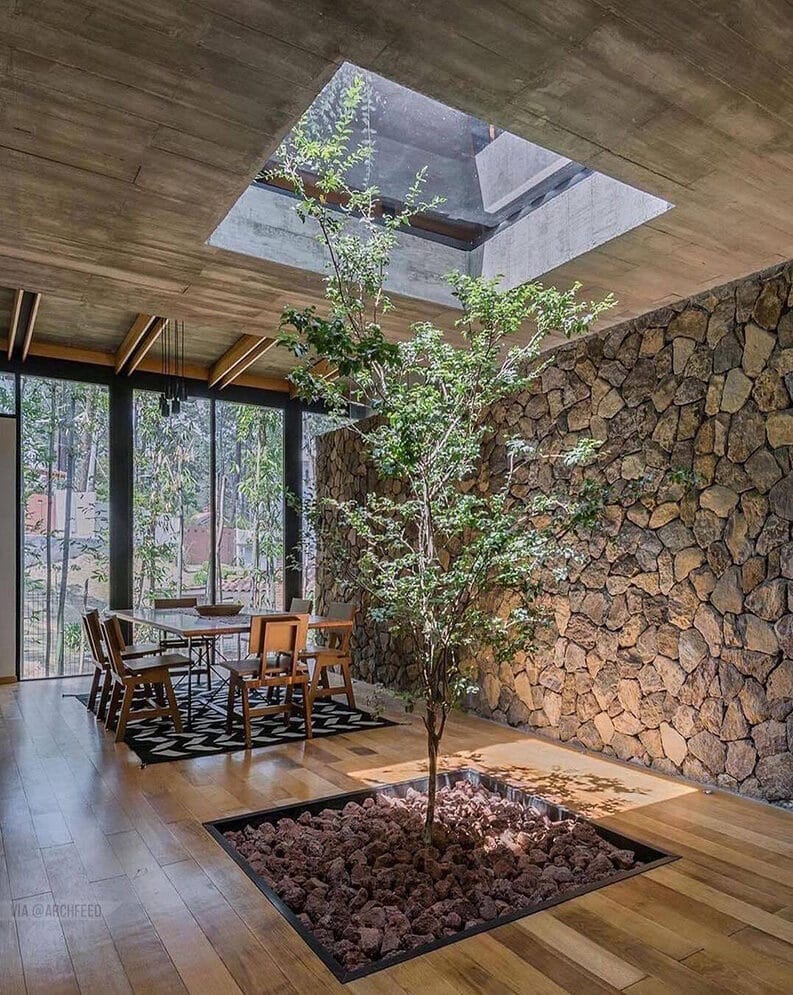 Casas donde los árboles son parte del diseño