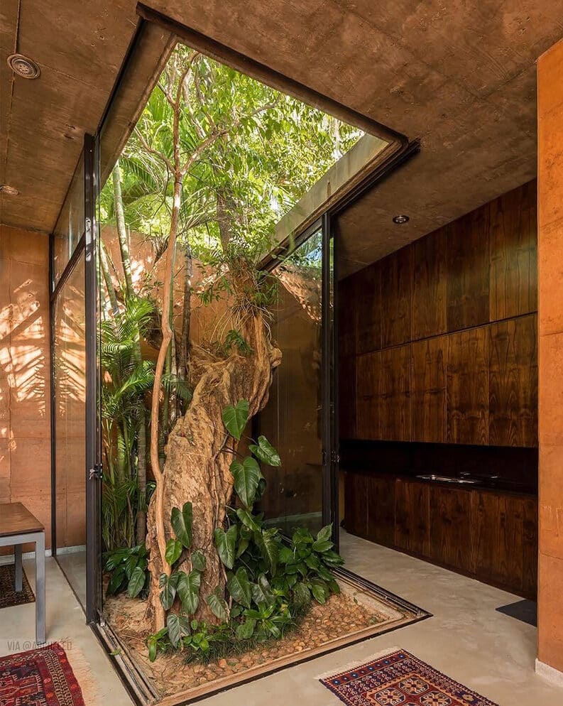 Casas donde los árboles son parte del diseño