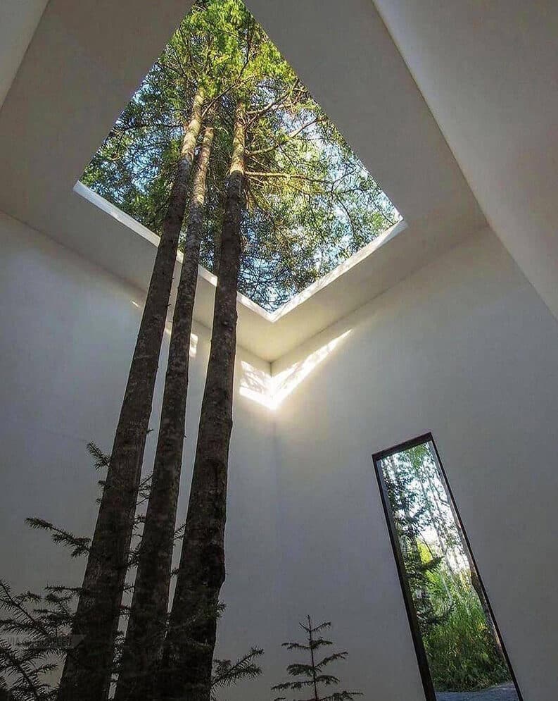 Casas donde los árboles son parte del diseño