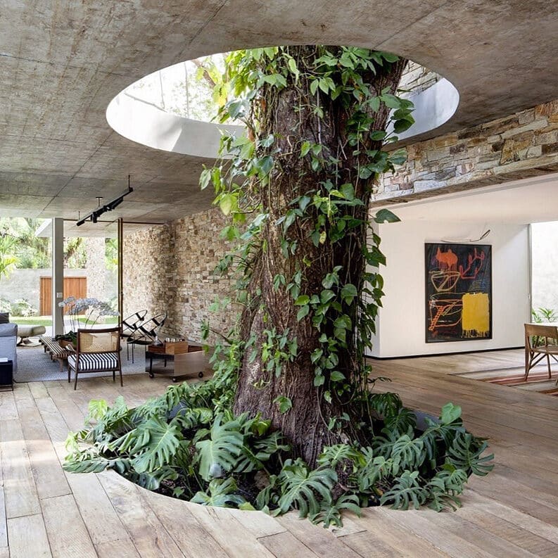 Casas donde los árboles son parte del diseño