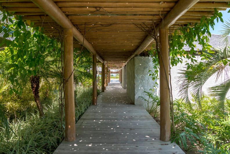 Arquitecto David Bustos