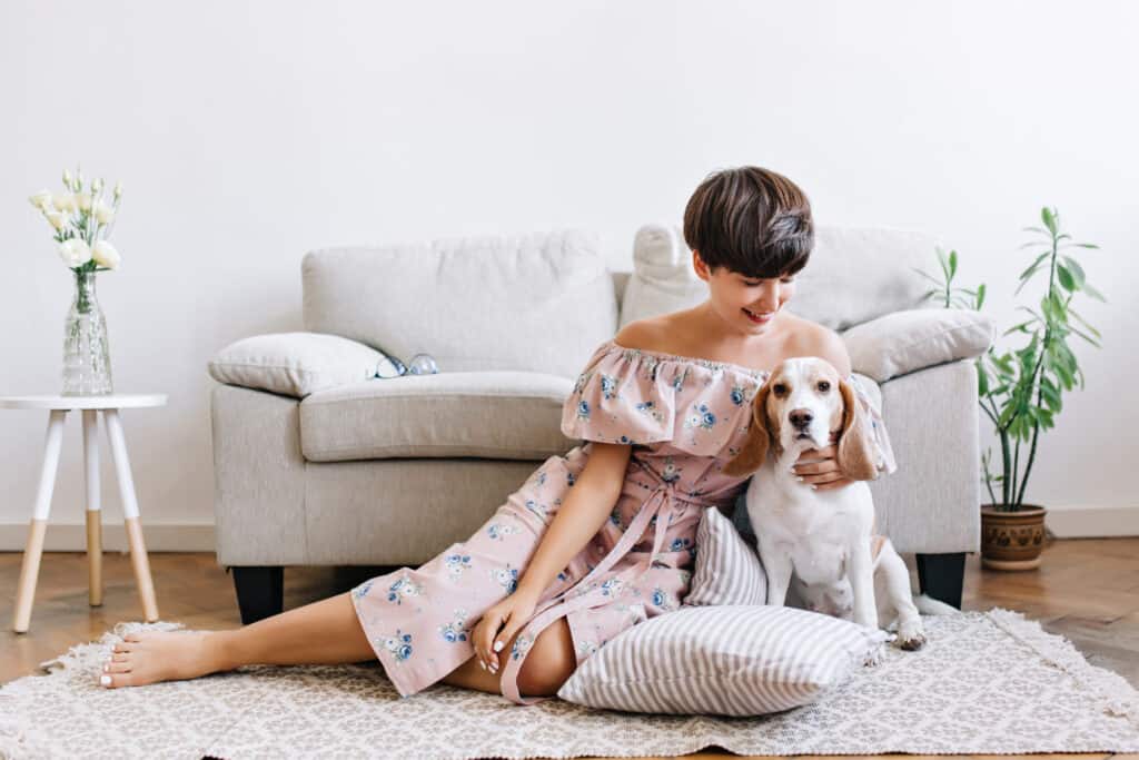 Decoración Pet Friendly