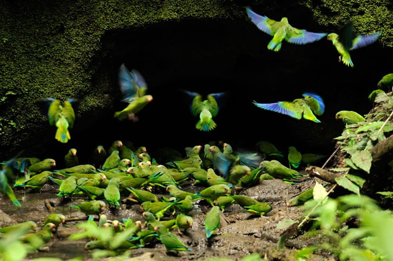 National Geographic
