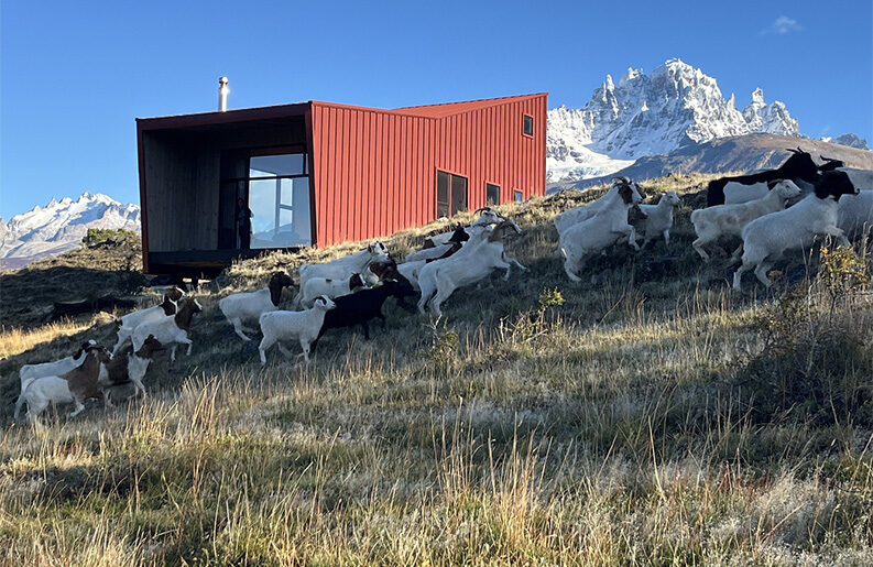 El Refugio de la Oveja by SAA Arquitectura + Territorio