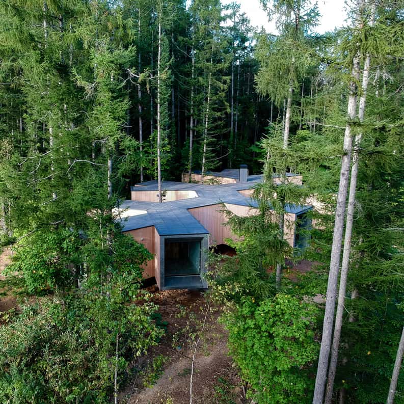 Casa en el bosque