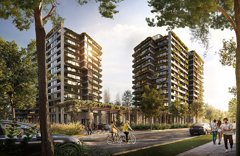 FURO Buenavista lanza la torre 4