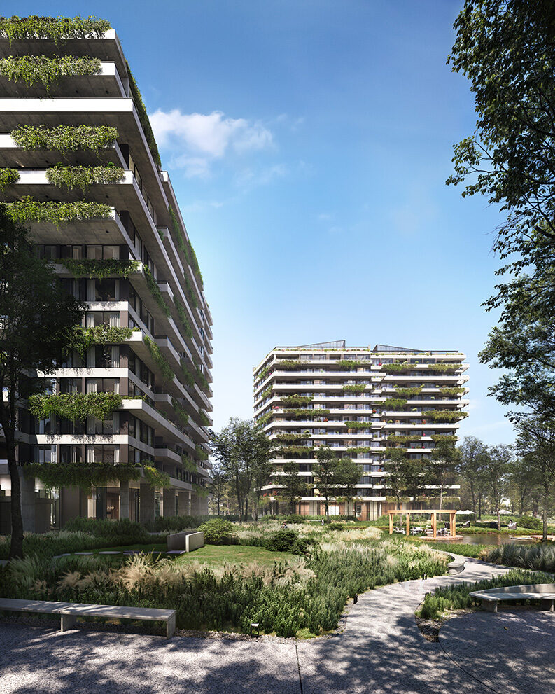 FURO Buenavista lanza la torre 4