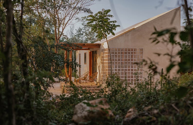 Galopina casa silvestre
