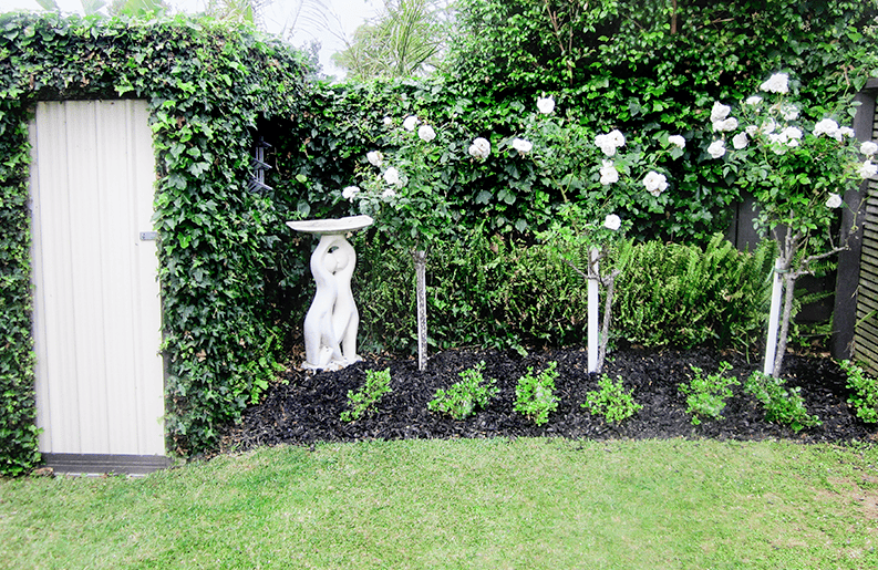 Jardin01