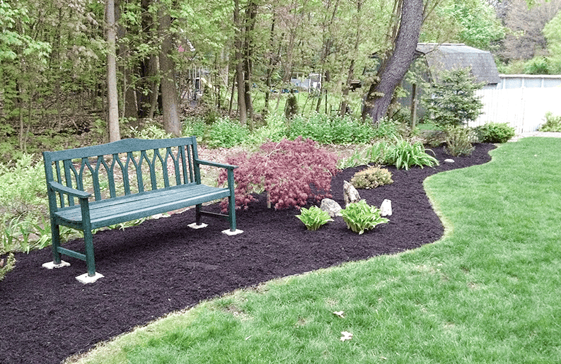 Jardin