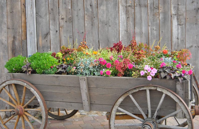 Jardines
