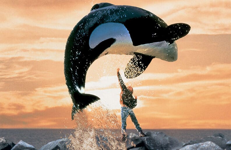 Liberen a Willy tendrá su reboot