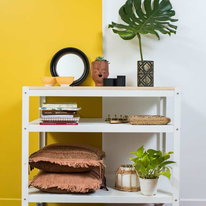 MITE Novedades