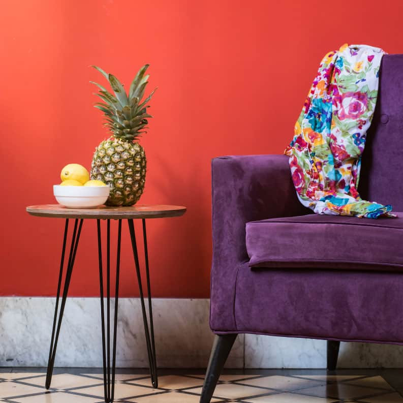 MITE Novedades