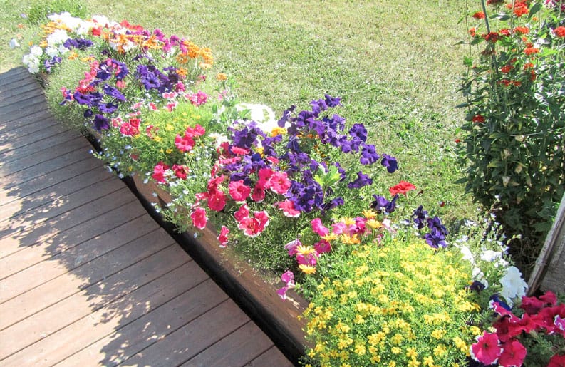 paisajejardin02