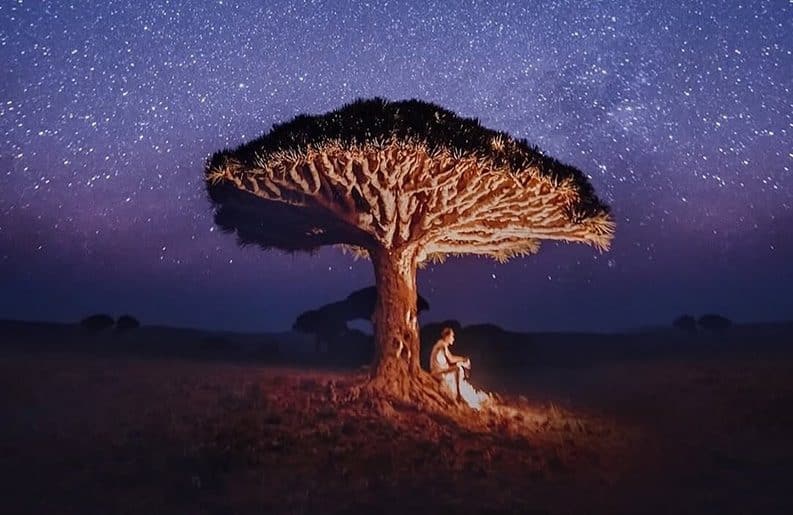Socotra - una isla de otro planeta
