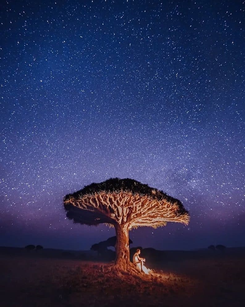 Socotra - una isla de otro planeta