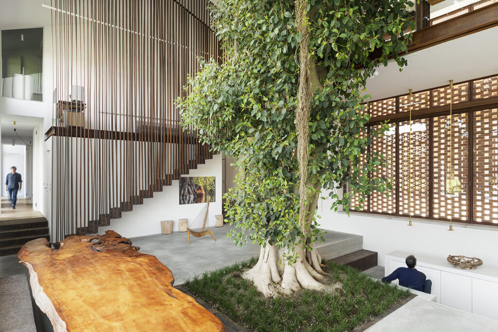 The Greenary. Una casa sorprendente con un árbol de 10 metros en la cocina