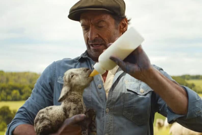 The Sheep Detectives