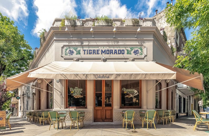Tigre Morado