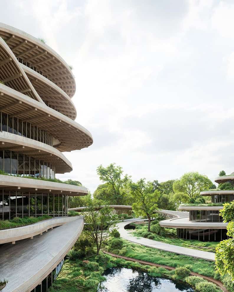 Torres GS. Un oasis sustentable en Cuiabá